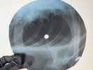 JIMI HENDRIX RED HOUSE X-Ray USSR Record Roentgen Bone Ribs Music Vinyl