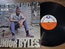 Junior Byles - Beat Down Babylon LP - Trojan UK mp3