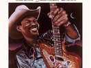 Clarence Gatemouth Brown Blackjack NEAR MINT Pgp Rtb Vinyl LP