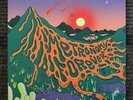 Metronomy Metronomy Forever Black 2LP 2019 Because Music Electronic Synth-Pop