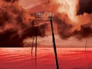 RSDBF25: Pelican 