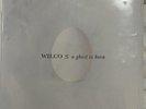 Wilco A Ghost Is Born Vinyl Record SEALED (2 LPs Nonesuch 2025) Brand New