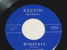 THE SAVOYS TIMBER ROCK /WINDFALL 7