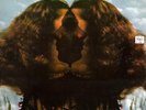 Flora Purim Butterfly Dreams NEAR MINT Milestone Vinyl LP