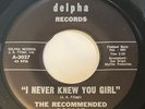 Recommended Dosage I Never Knew You Girl Rare Garage 1967 45 Bay Area -Delpha