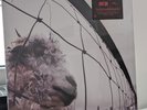 Pearl Jam - VS.  180-Gram Audiophile SEALED Grunge LP