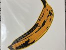 The Velvet Underground & Nico (2023 Milky Clear Vinyl LP Pressing) Andy Warhol