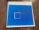 Underworld ‎– Beaucoup Fish  - 2 x lp (1999 issue)