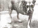 Alice in Chains - Alice in Chains (30th An. Yellow LP) [VINYL]