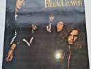 THE BLACK CROWES 