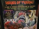 HOUSE OF TERROR RECORD 12