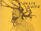Rock 'N' Groove - Bunny Wailer | Vinyl Record
