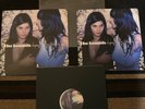 The Sounds: Dying To Say This To You (2006) - 180 Gram Audiophile Vinyl
