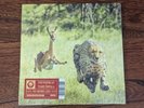 Thundercat/Tame Impala - No More Lies - 2023 - Vinyl 7