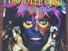 David Lee Roth - Eat ‘Em & Smile - Sonrisa Salvaje - LP  Vinyl Record - Promo