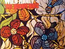 The Beach Boys - Wild Honey (LP, Album, Mono)
