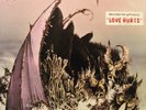 Nazareth - Hair Of The Dog READ DESCRIPTION (LP, Album, Pit) (Very Good Plus (VG
