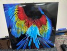 Friendly Fires - Pala - LP - 2011 XL Recordings