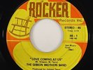 Gibson Brothers Band 
