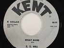 Z.Z. Hill 