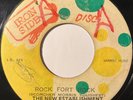 NEW ESTABLISHMENT Rock Fort Rock JAMAICAN ROCKSTEADY REGGAE 45 *hear*