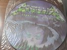 METALLICA CREEPING DEATH ORIGINAL UK 12” VINYL PICTURE DISC P12KUT112