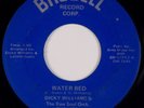 DICKY WILLIAMS & RAW SOUL: Water Bed US Brubell Wash, DC Northern Soul 45 MP3
