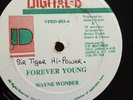 Wayne Wonder-Forever Young 12