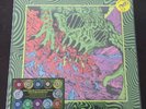 KING GIZZARD & THE LIZARD WIZARD LIVE AT RED ROCKS 2022 - 1st Press/Variant