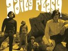 The Legendary Recordings 1965-1967 by Daily Flash (Record, 2023)