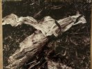 David Sylvian & Holger Czukay - Plight & Premonition, Promo LP