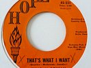 Syng McGowan   -  That's What I Want    -  Hope   -  60's Northern Soul