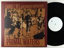 Faruq Z. Bey - Primal Waters LP - Sagittarius A-Star Italy VG++