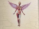 NIRVANA-IN UTERO-2009 LIMITED EDITION ORG 033 VINYL - 180 Gram Audiophile