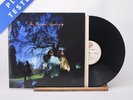 The Dream Academy The Dream Academy LP Album Vinyl Record 925 265-1 - EX/EX