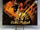 Climax Blues Band Gold Plated Vinyl LP 1976 Sire Record SASD-7523