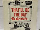 The Crickets That’ll Be The Day 45 Rare Picture Sleeve VG+9-55009 Brunswick
