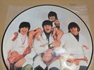 the Beatles yesterday and today butcher cover vinyl lp picture disc