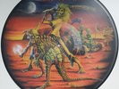 Heavy Metal Record - Iron Maiden (Picture Disc)