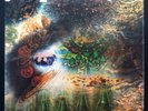 PINK FLOYD Saucerful Of Secrets Original 1968 UK Mono LP STARTER COPY