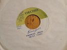 SILVER TONES - FINANCIAL CRISIS / FINANCIAL DUB. REGGAE 45 ON ORCHID LABEL