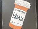 The Flaming Tsunamis Fear Everything Vinyl Record Brand New Sealed