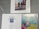 Pink Floyd Wish You Were Here Bad World Liquid Filled Vinyl LP Record 2025 NEW