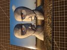 Division Bell by Pink Floyd (Record, 2016)