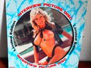 sexy nude cheesecake interview Samantha Fox Picture Disc 12´´ Non-Musical