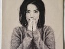 LP Björk Debut 1ST PRESS W/ MIKES-THE EXCHANGE IN MATRIX TPLP31 VINYL RECORD