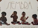 Rubén Blades -Willie Colon. Siembra 1978 Original Sealed Fania Récords Vinyl LP.
