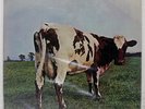 PINK FLOYD ATOM HEART MOTHER ODEON OP80102 Japan VINYL LP