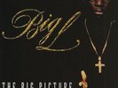The Big Picture (1974 - 1999) - Big L (OG) | Vinyl Record