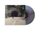 The Backseat Lovers - When We Were Friends Vinyl - Galaxy vinyl